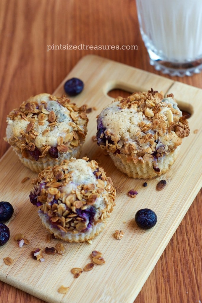 blueberry cheesecake muffin recipe