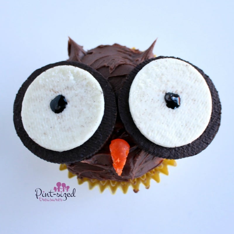 owl cupcake recipe