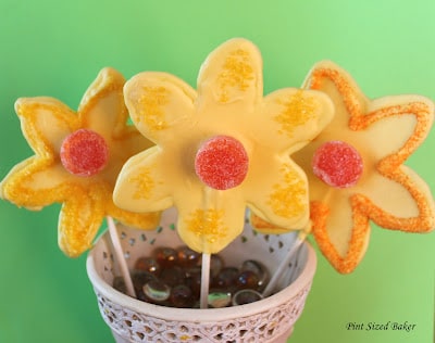 PS Daffodil Lollipops (31)