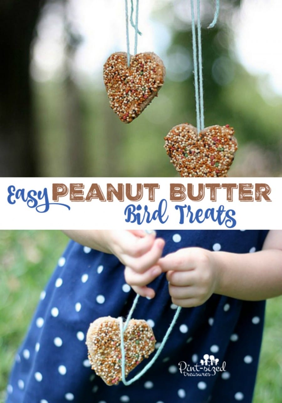 treats for birds