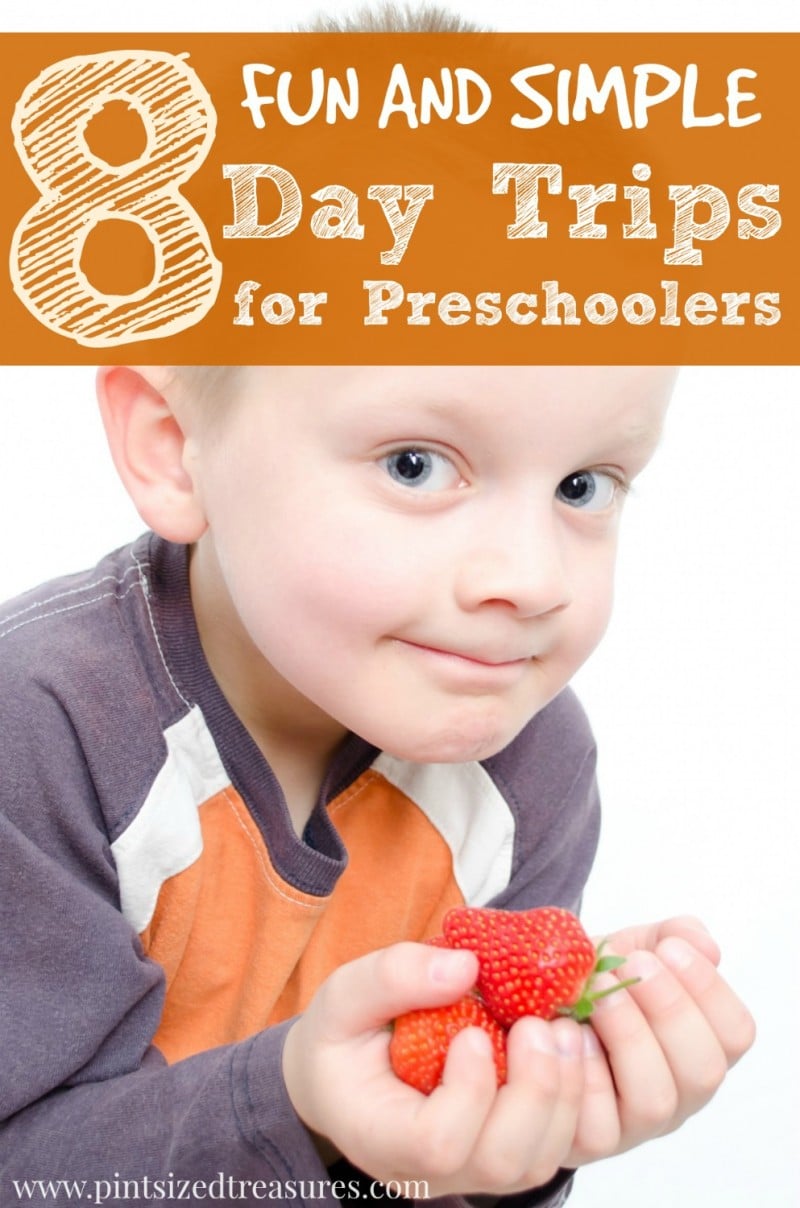 summer day trips for preschoolers