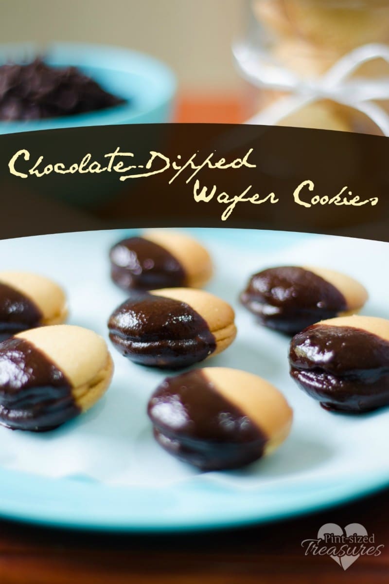 easy chocolate dipped cookies recipe
