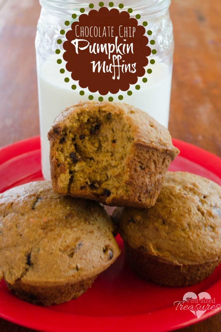 easy chocolate chip pumpkin muffins