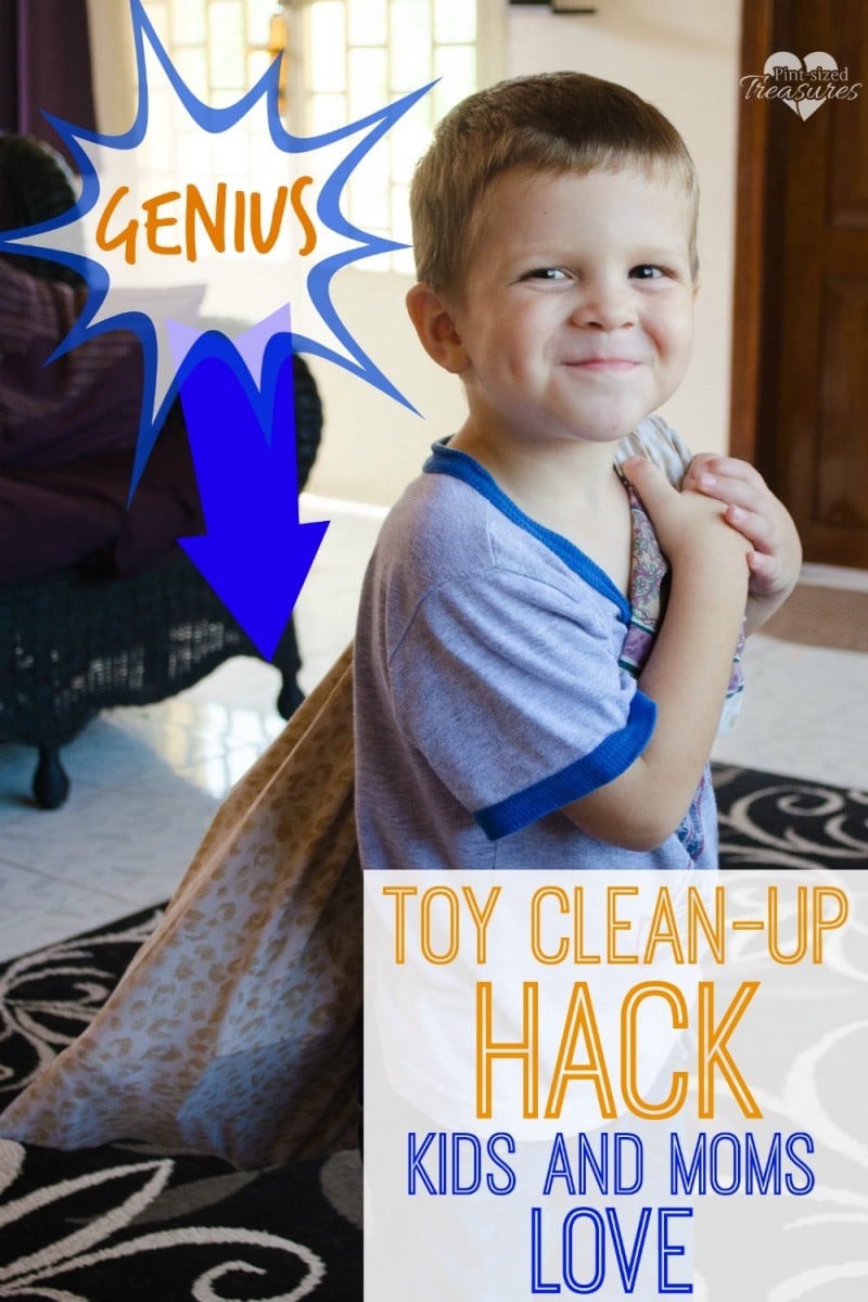 genius toy clean-up idea