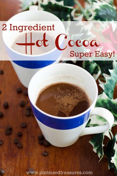 two ingredient easy hot cocoa