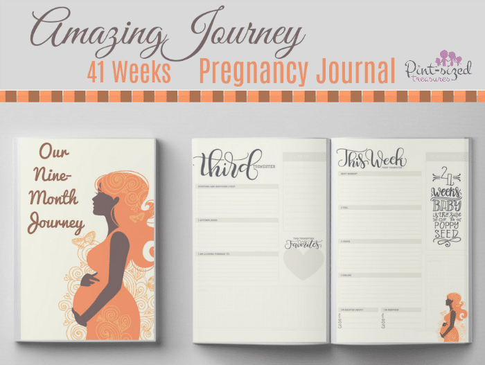 An amazing,printable pregnancy journal that will help moms remember the details their pregnancy for years to come!