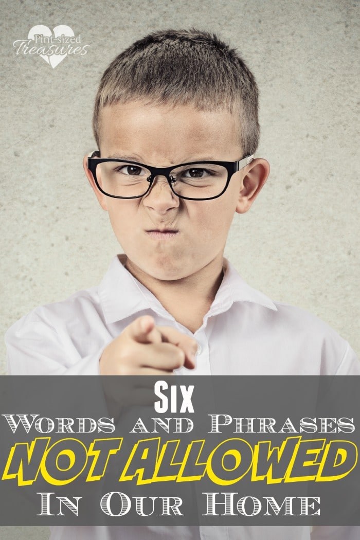 language that is not allowed in our home