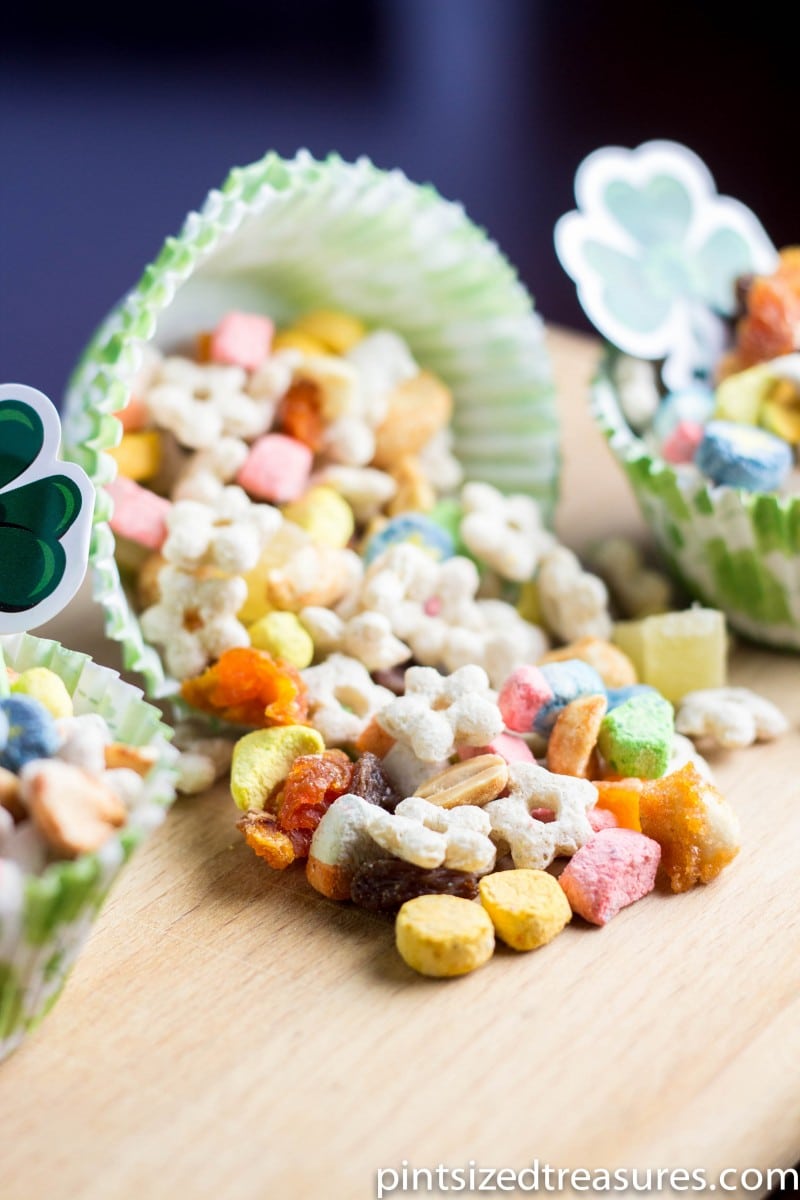 Rainbow Trail Mix-7