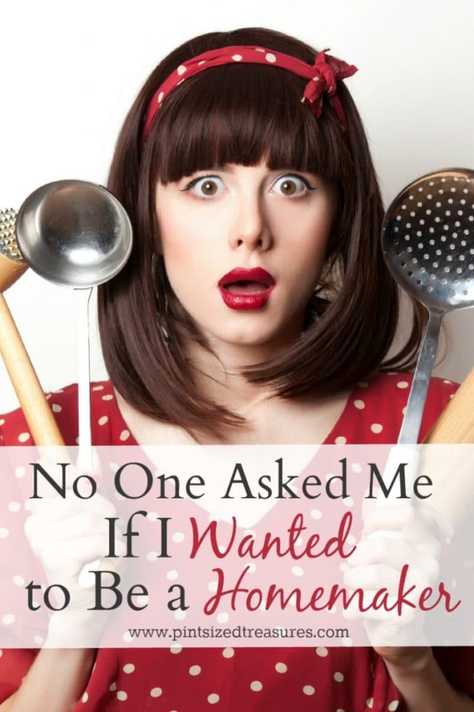 no one asked me if I wanted to be a Homemaker