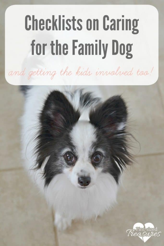 checklists for pet care