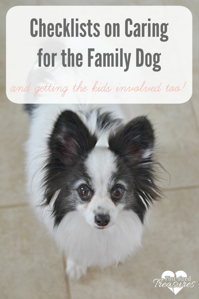 checklists for pet care