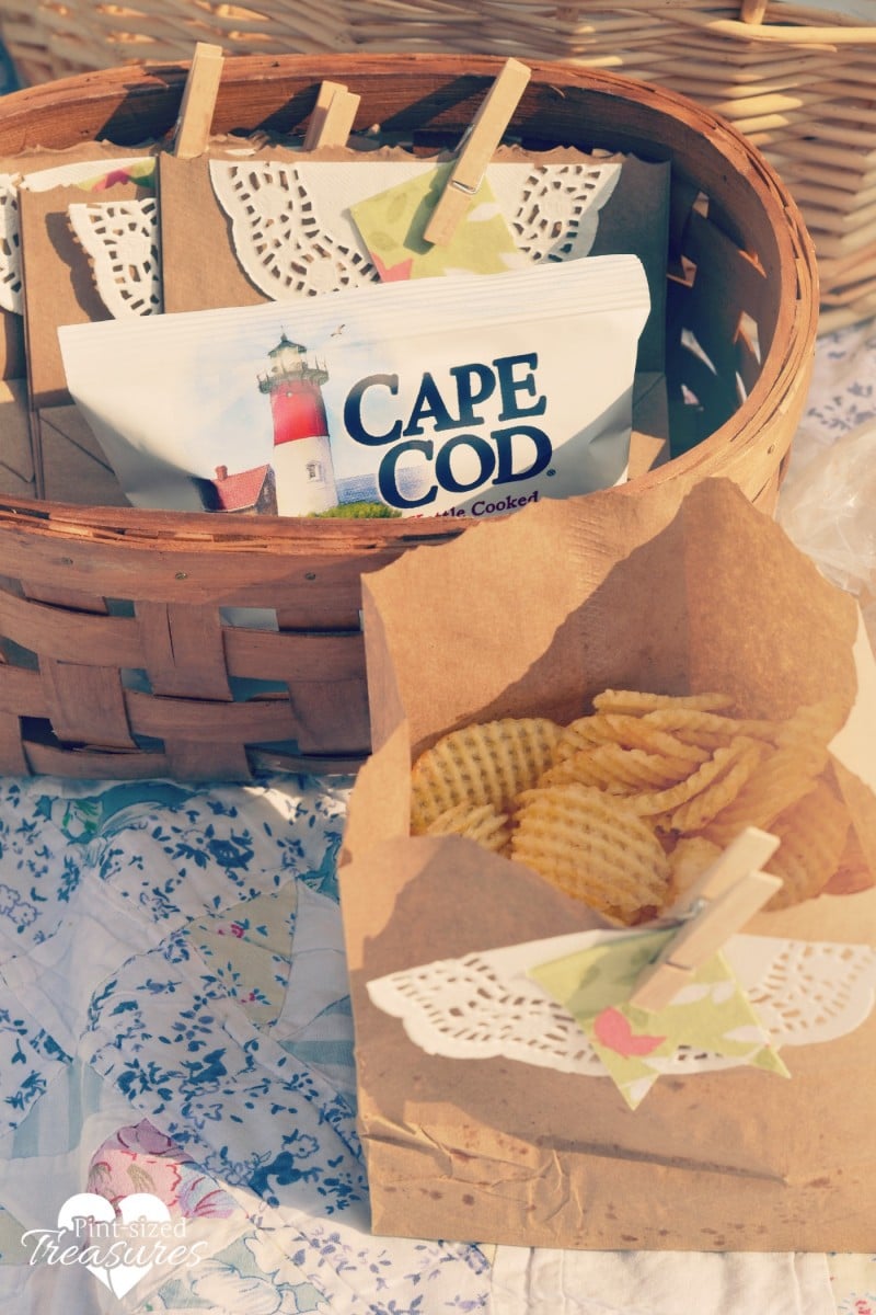 summer family picnics