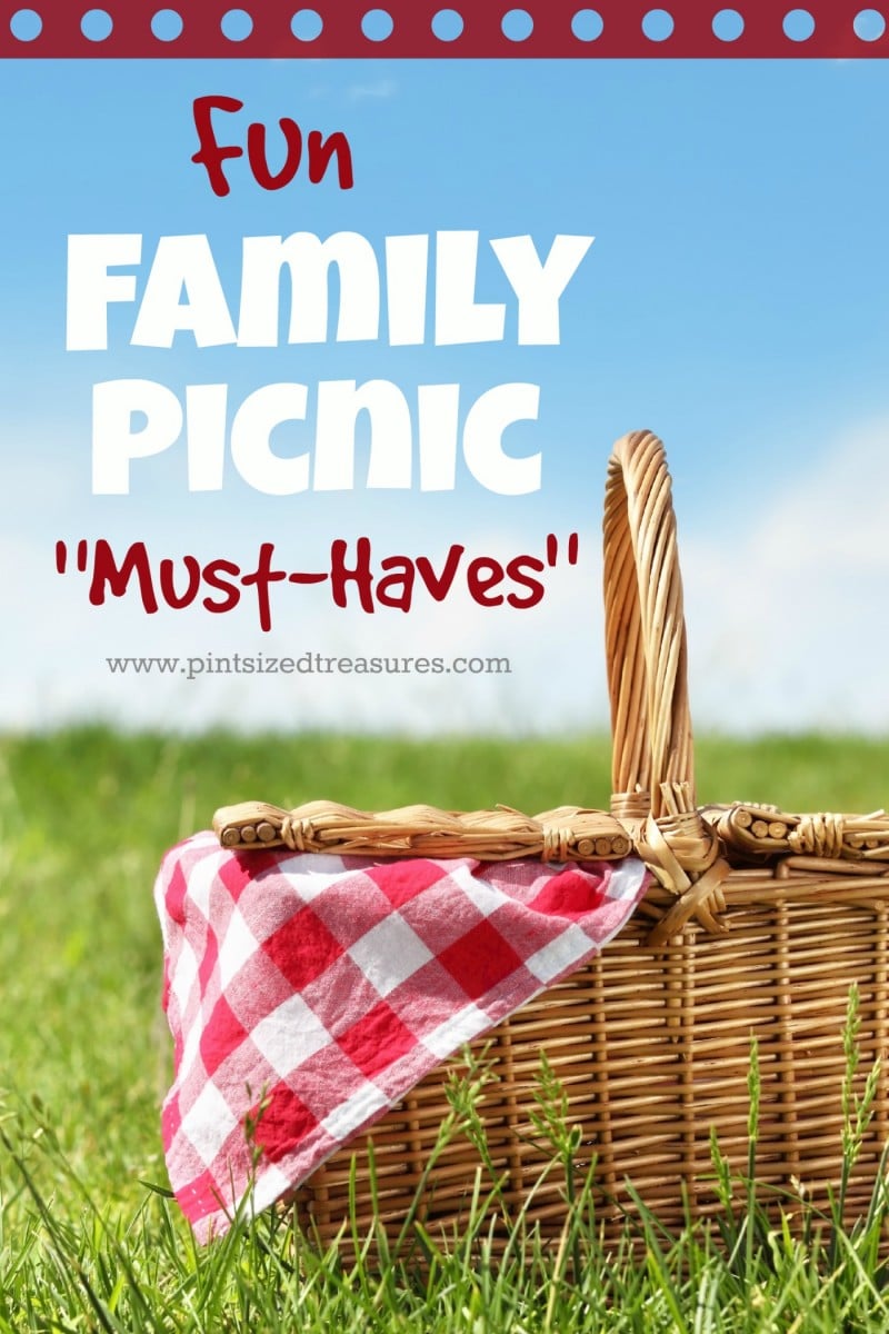 family picnic must haves