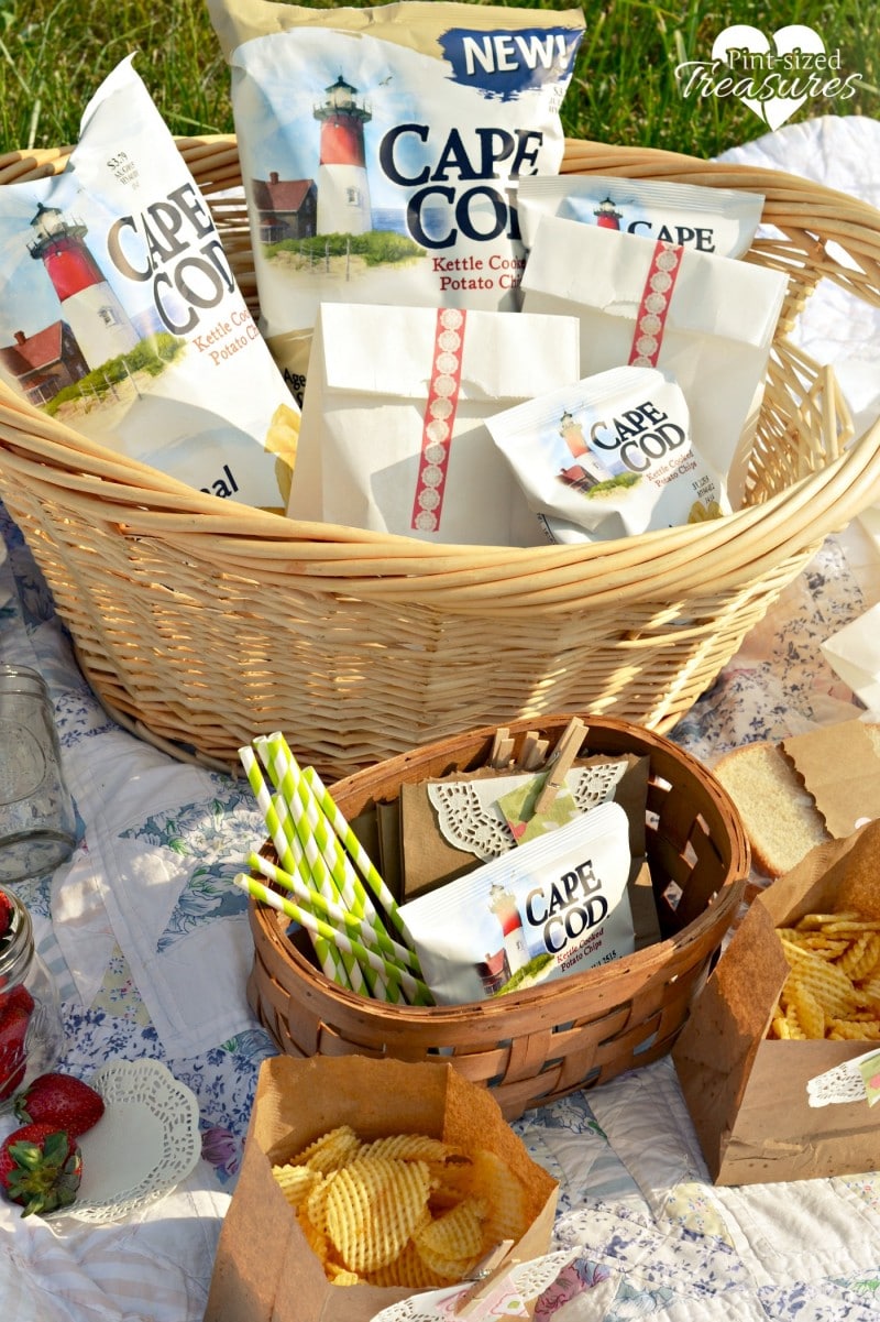 fun family picnic ideas