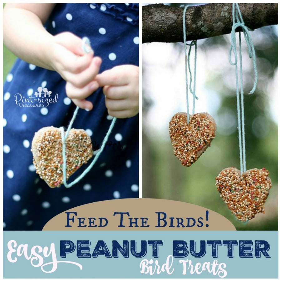 bird treats made with peanut butter