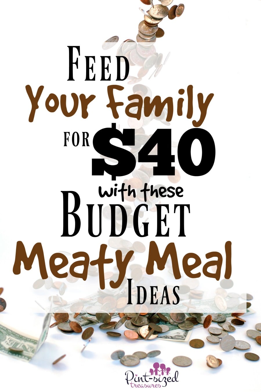 feed family for $40 meaty meal ideas