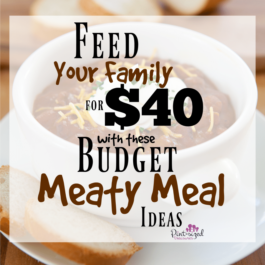 feed your family for $40 meaty meal ideas
