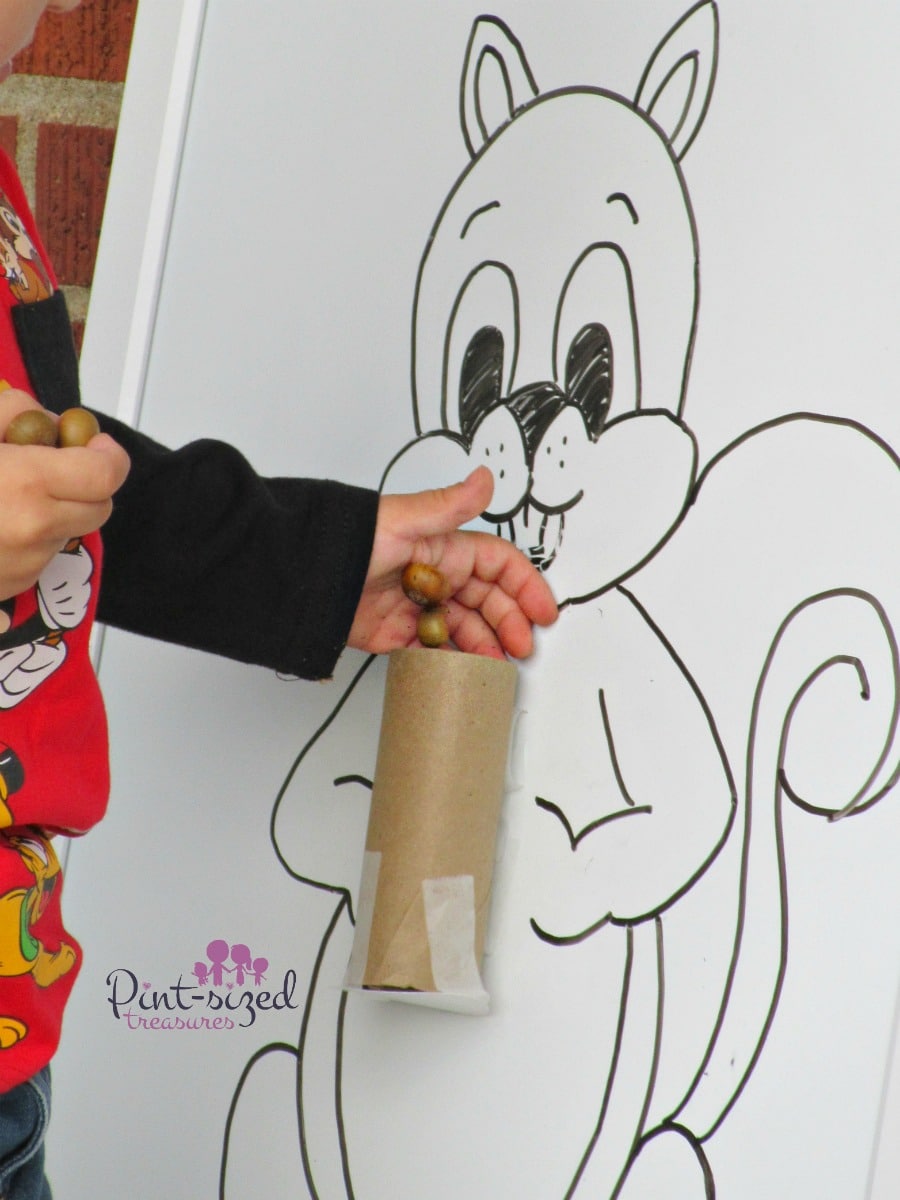acorn and squirrel activity