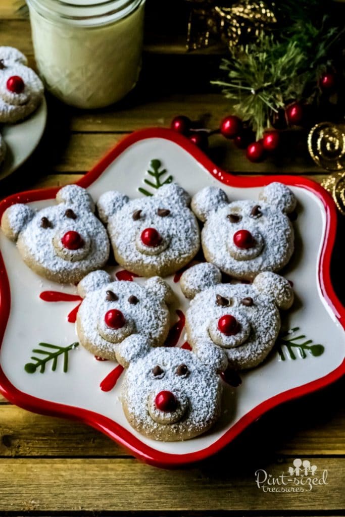 spice polar bear cookies recipe