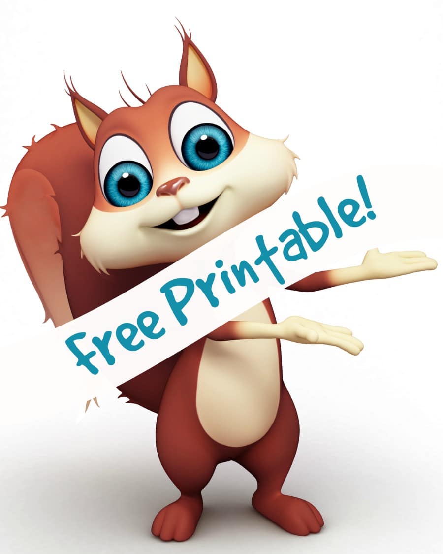 printable for squirrel activity for preschoolers