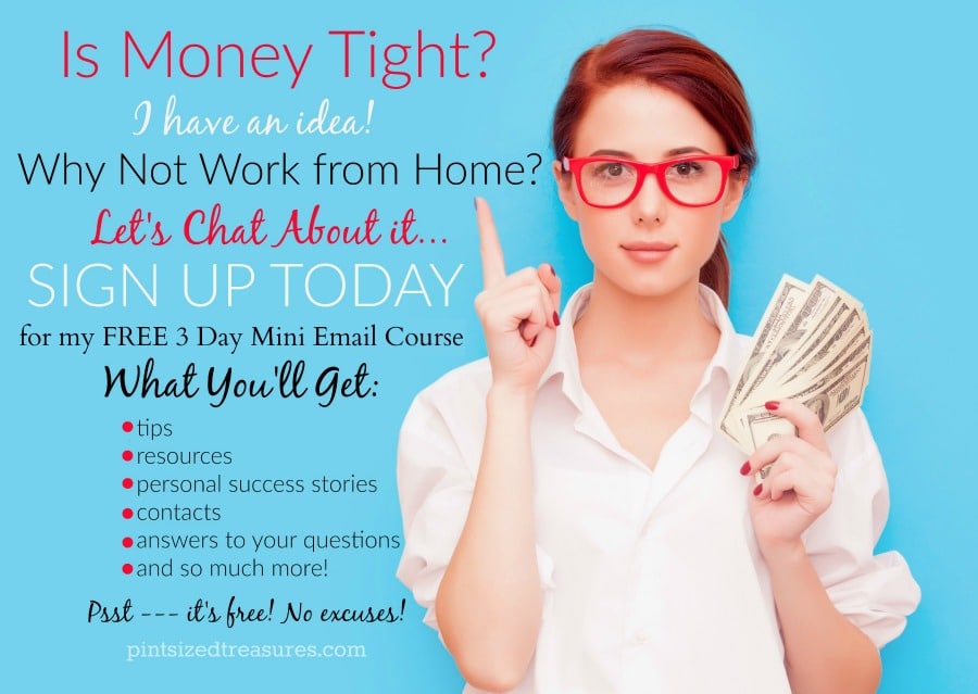 become a WAHM in three days
