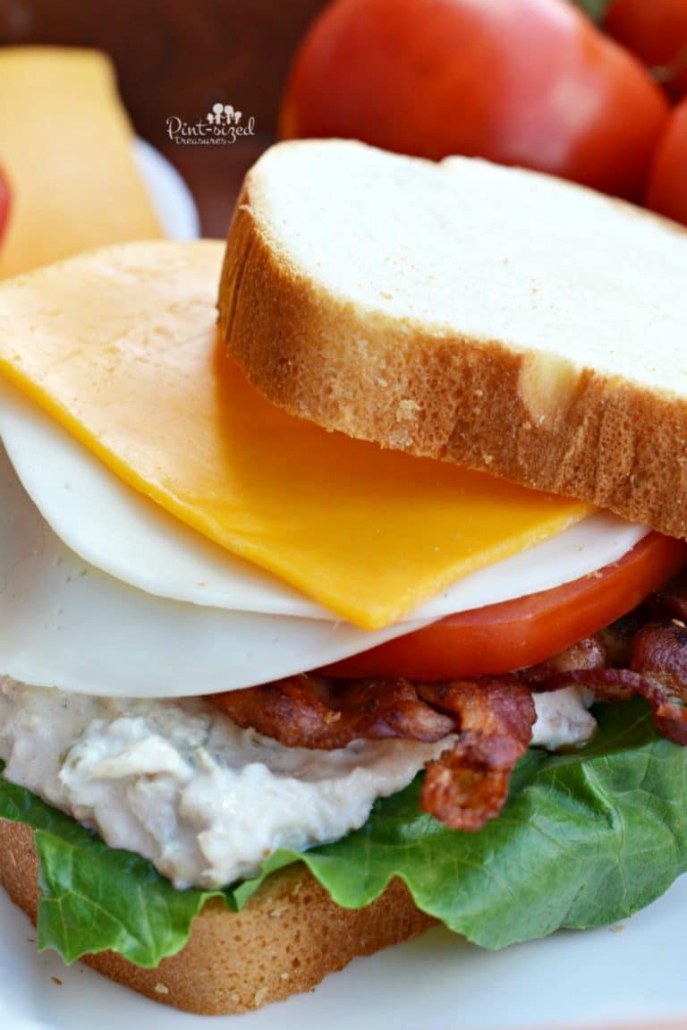 cheesy tuna blt recipe