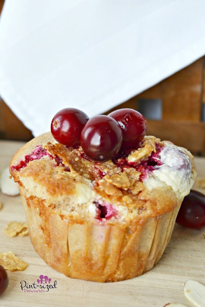 cranberry cheesecakemuffins