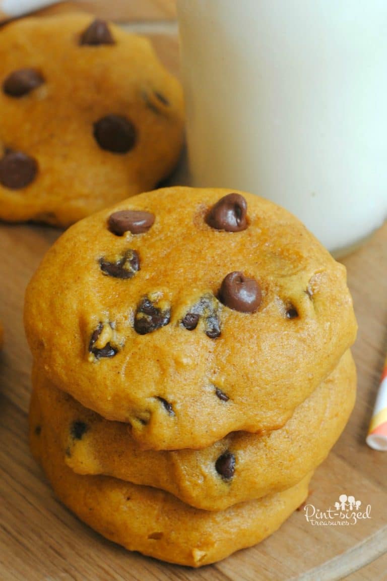 super soft pumpkin chocolate chip cookies