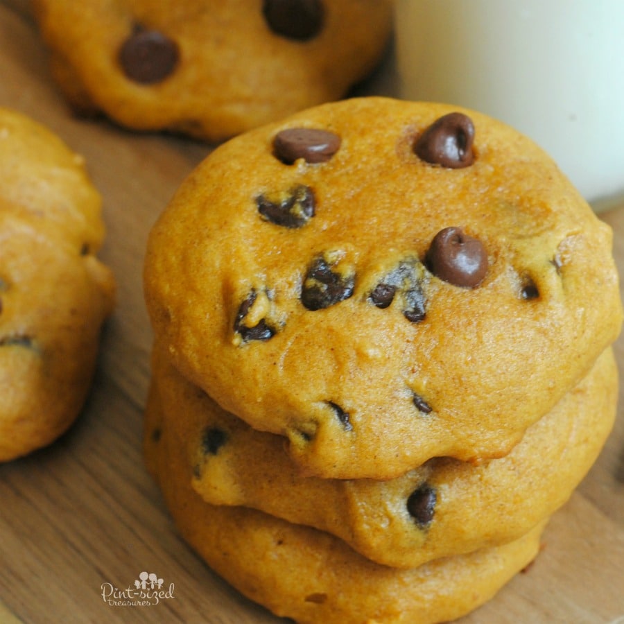 super soft pumpkin chocolate chip cookie recipe