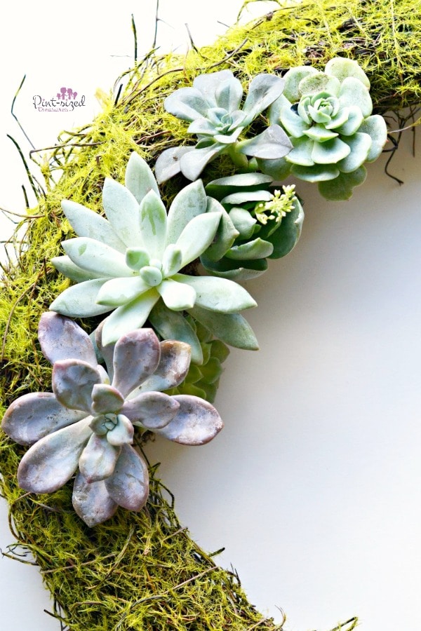 easy diy fall wreath moms love