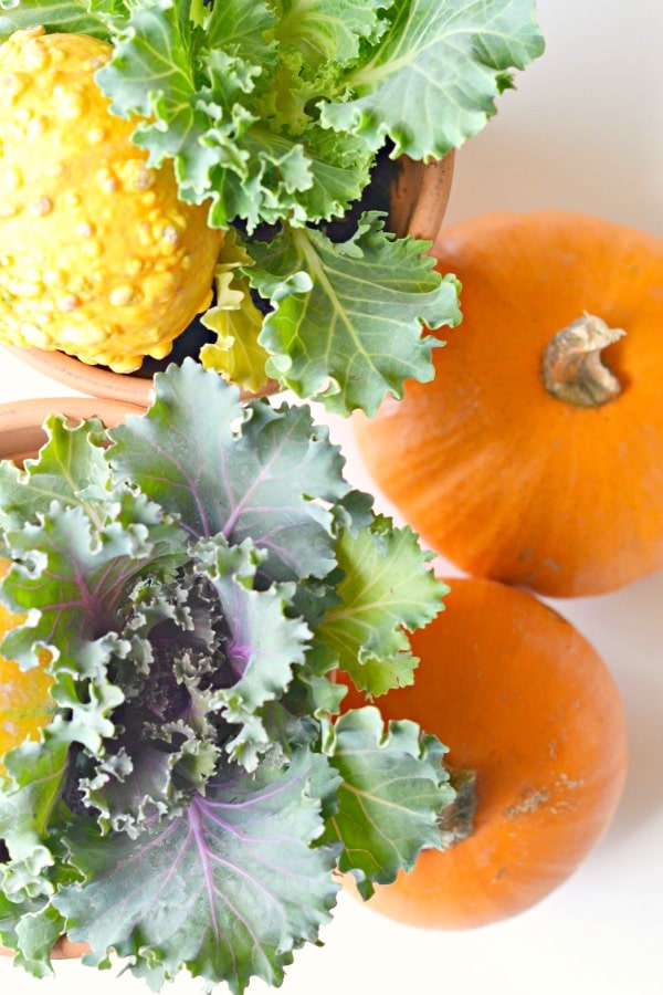 easy fall diy wreath moms can actually make