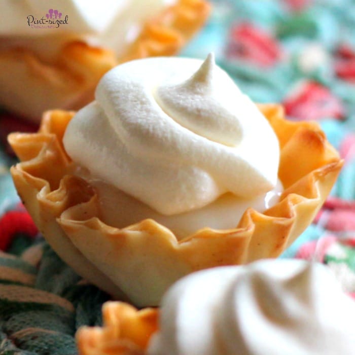 Upclose image of the no-bake, key lime pie recipe