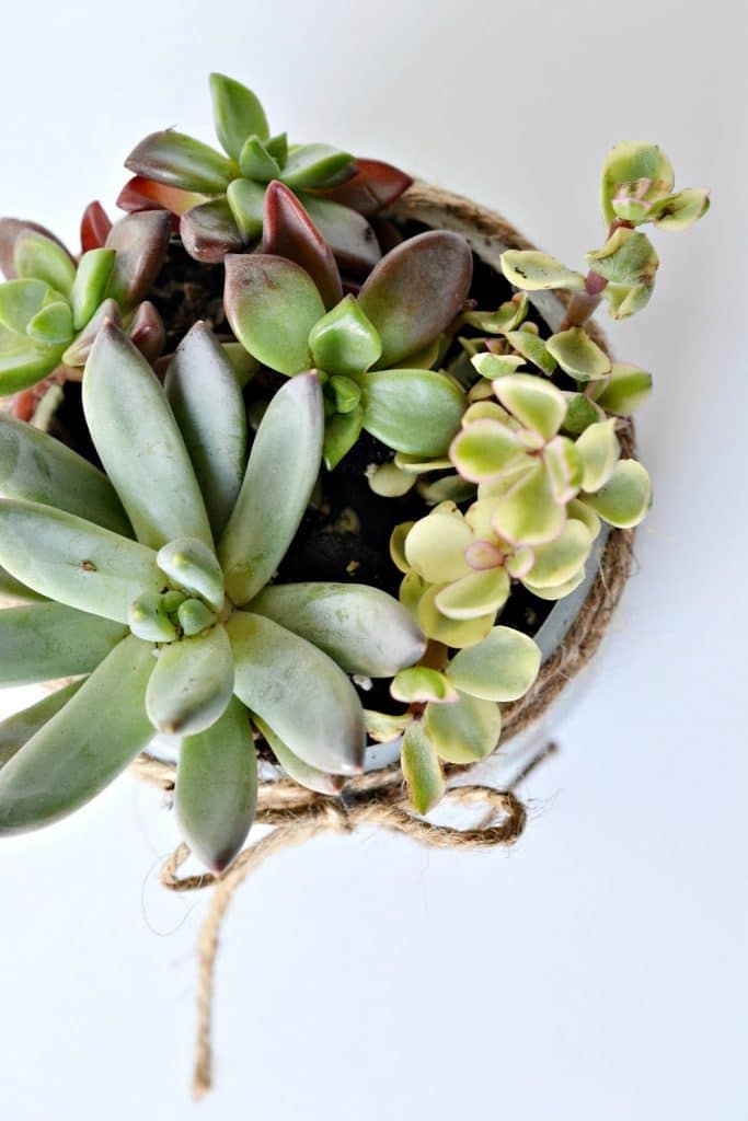 unwinding during motherhood in a garden