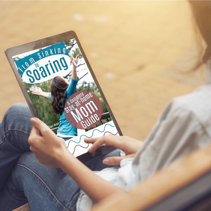 From Sinking to Soaring mockup -1