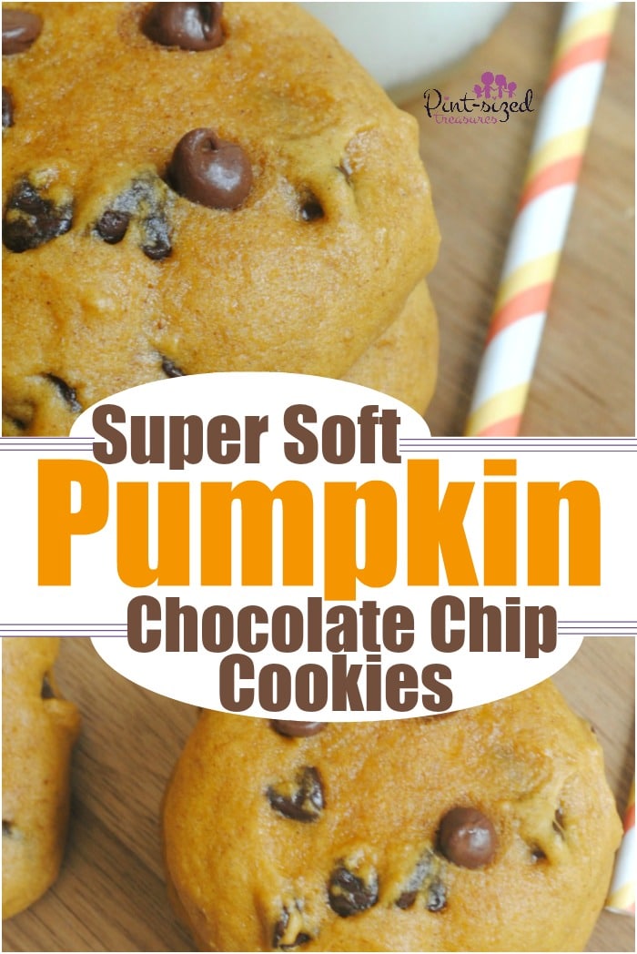 Super soft pumpkin chocolate chip cookies are the perfect dessert for pumpkin season! Fall, Thanksgiving both need extra does of pumpkin treats!