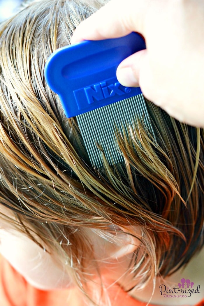pesticide free guide to getting rid of lice in kids