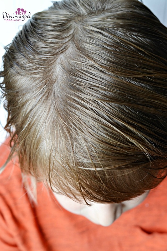 pesticide free lice guide for kids