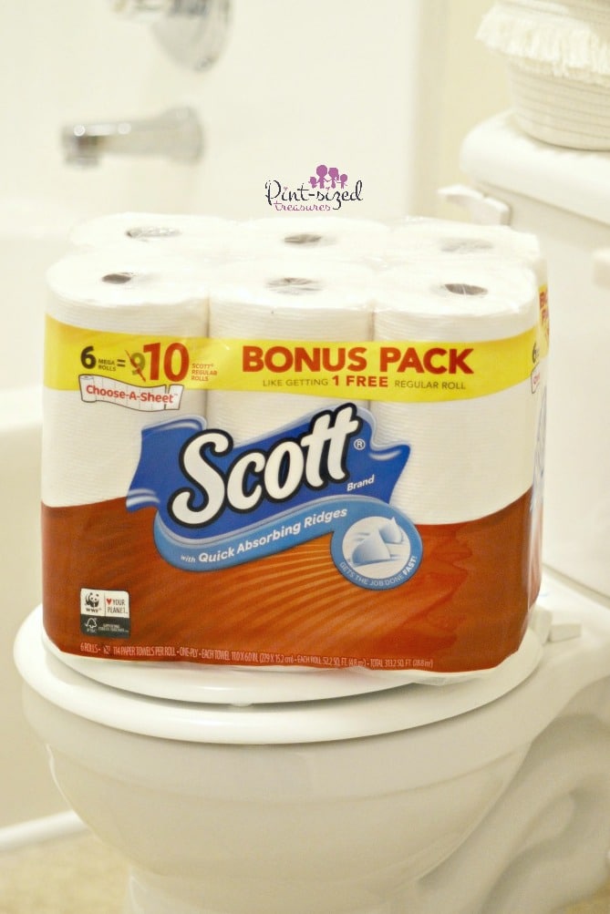 Easy, five minute bathroom cleaning routine moms love!