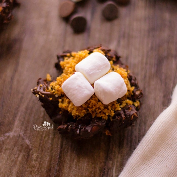 Gorgeous, easy pretzel s'mores!