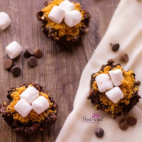 smores pretzel bites recipe