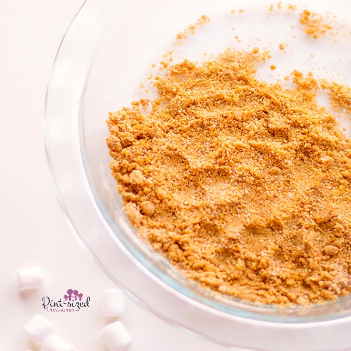 graham cracker crumbs for smores bites