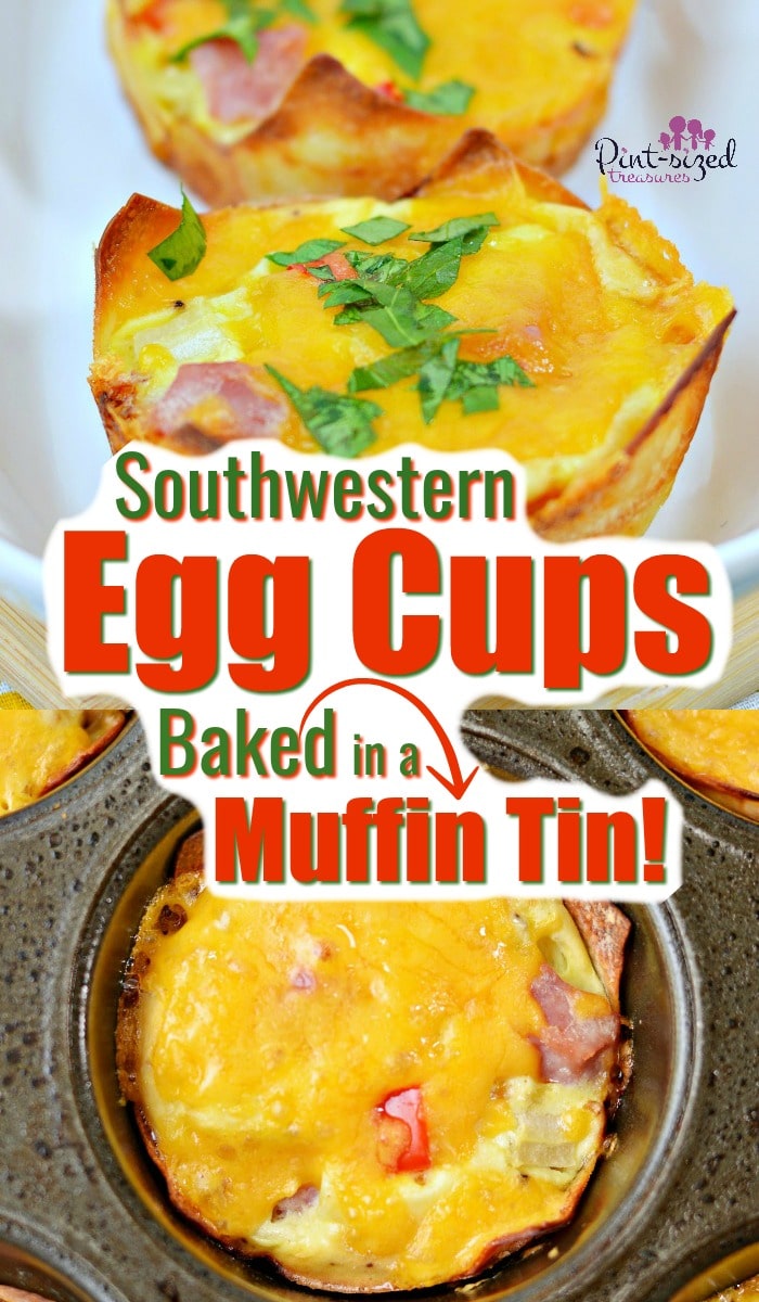 Incredibly easy egg cups that are filled with ham, cheese, Southwestern ingredients, spices and baked in a muffin tin! P