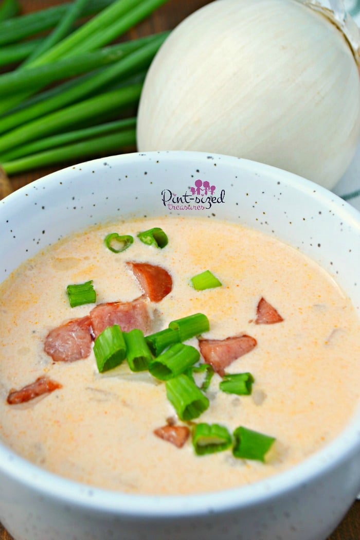 A large bowl of sausage and potato soup makes any day better!