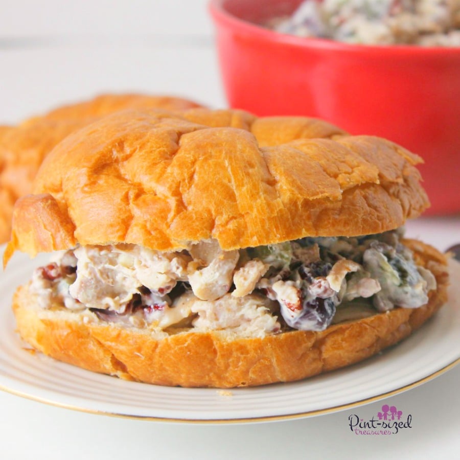 favorite chicken salad recipes