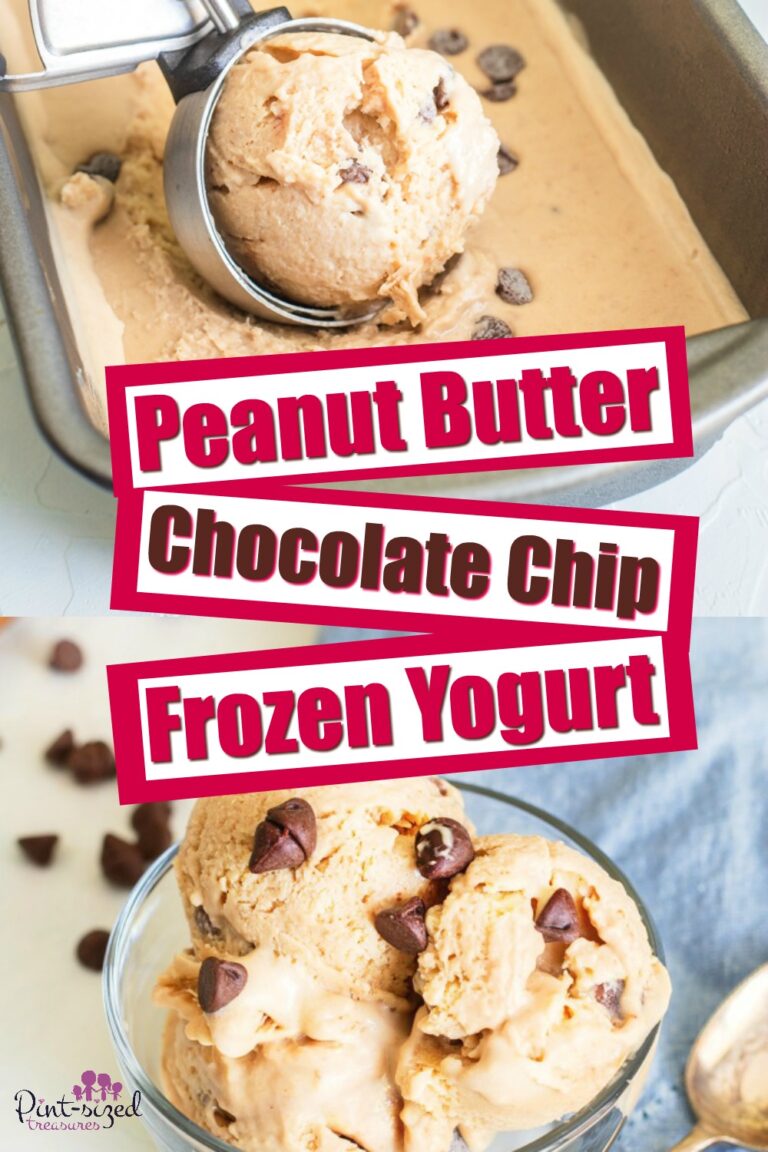 Peanut butter chocolate chip frozen yogurt