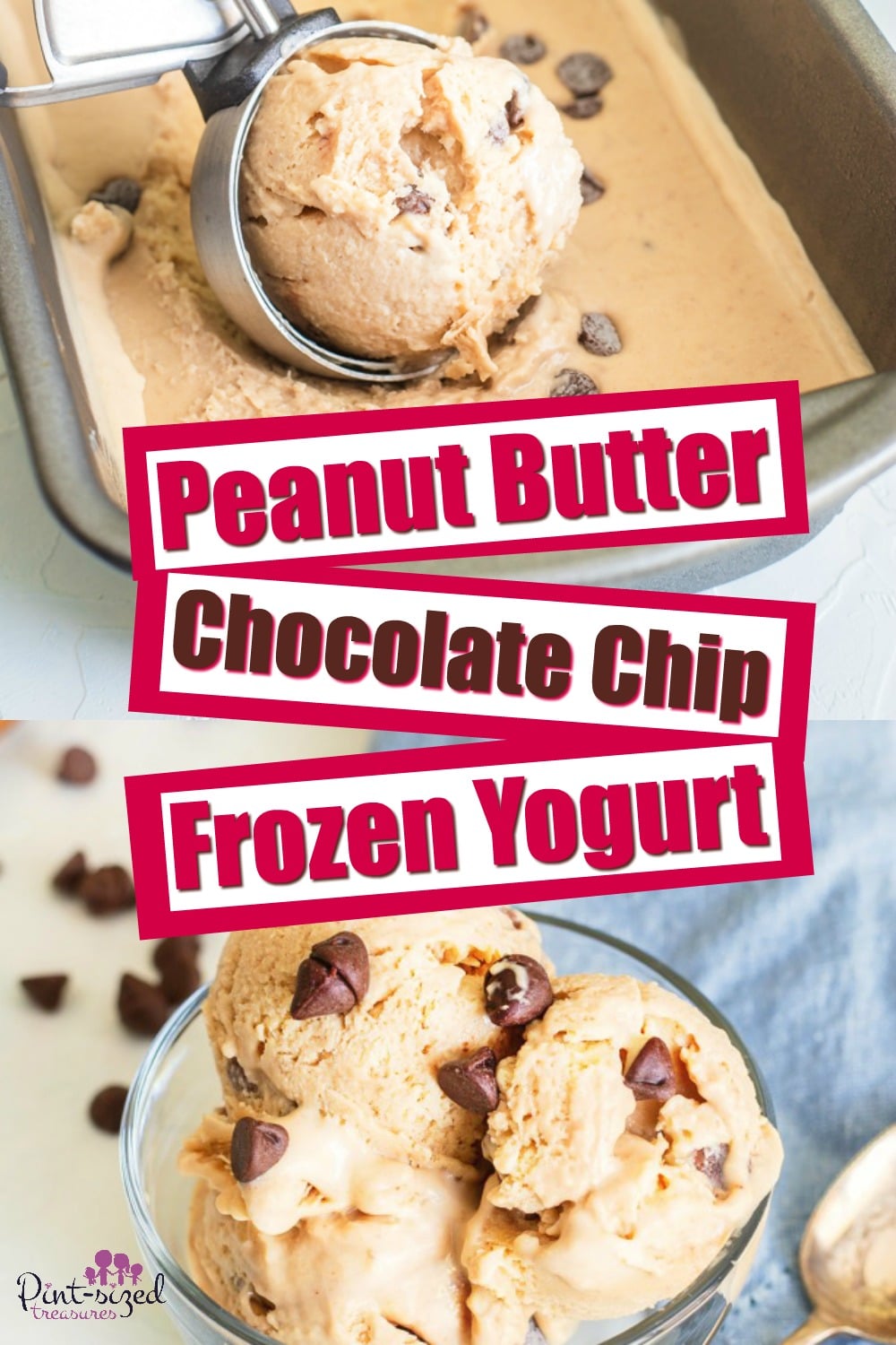 Peanut Butter Chocolate Chip Frozen Yogurt Recipe