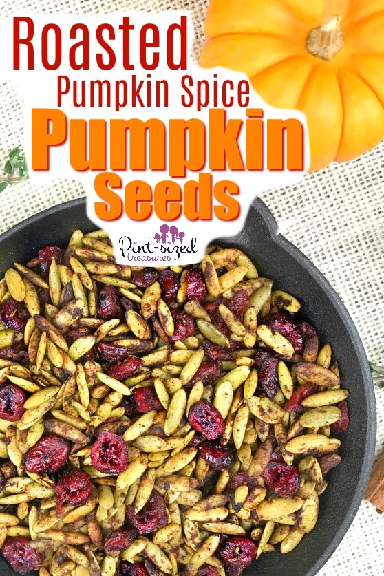 pumpkin spice pumpkin seeds recipe