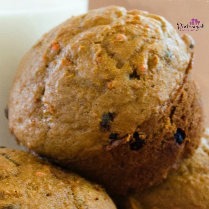 Easy Cake mix Chocolate Chip Muffin Recipe