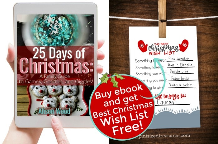 Christmas book