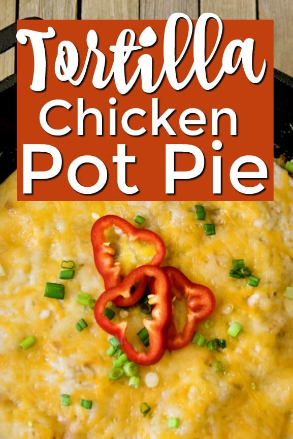 Chicken Tortilla Pot Pie